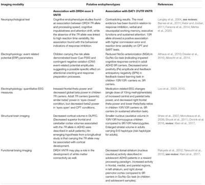 Genetics in the ADHD Clinic: How Can Genetic Testing Support the Current Clinical Practice?